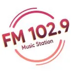 Logo da 102.9 Music Station