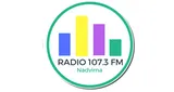 Logo da Радіо Надвірна 107.3 Fm