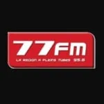 Logo da 77 95.8 FM