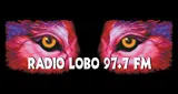 Logo da 97.7 Radio Lobo