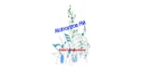 Logo da Alabanzas FM