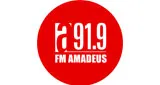 Logo da Amadeus