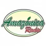 Logo da Amazonica Radio 91.3 FM