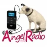 Logo da Angel Radio 89.3 FM