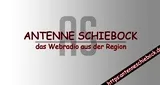 Logo da Antenne Schiebock