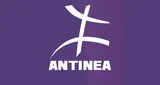 Antinéa Radio