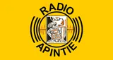 Logo da Apintie Suriname - Powered by Bombelman.com