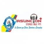 Logo da Asunción Stereo 88.2 FM