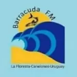 Logo da Barracuda FM