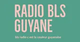 Logo da behary laul sirder BLS
