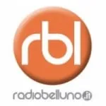 Logo da Belluno 95 FM