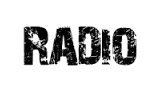 Logo da Berlinerflo