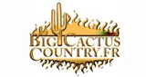 Logo da Big Cactus Country Radio