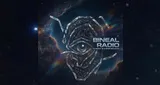 Bineal radio