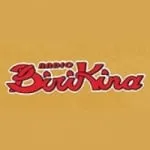 Logo da Birikina 91.3 FM