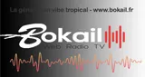 Logo da Bokail