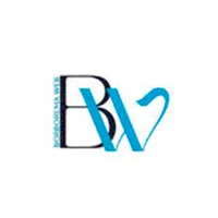 Logo da Borborema Web