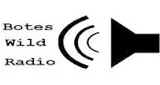 Logo da Bote's Mobile Feed
