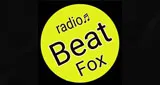 Logo da Brayan fox