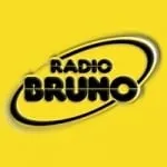 Logo da Bruno 102.1 FM