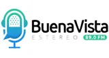 Logo da BuenaVista Estereo 89.0 fm