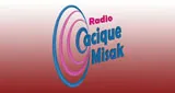 Logo da Cacique Misak