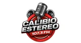 CALIBIO ESTEREO COLOMBIA