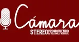 Cámara Stereo