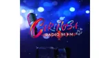 Logo da Cariñosa 91 FM Radio