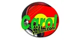 Logo da Carol 96.1 FM