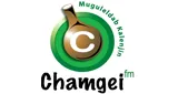 Logo da Chamgei FM