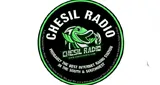 Logo da Chesil Radio