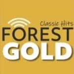 Logo da Classic Hits Forest Gold