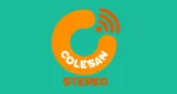 Logo da Colesan Stereo
