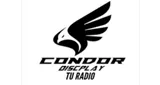 Logo da Condor discplay la radio online
