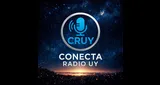 Logo da Conecta Radio uy