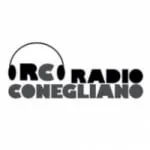 Logo da Conegliano 90.6 FM