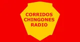 Logo da Corridos Chingones Radio