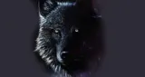 Logo da Dark Lupu