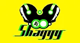 Logo da Dj Shaggy Venezuela