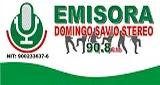 Logo da Domingo Savio Stereo