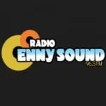 Logo da Enny Sound 96.3 FM