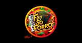 Logo da Fay Só Forró
