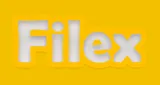 Filex FM