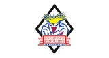 Logo da Fischtown Pinguins