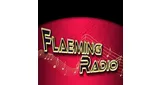 Logo da Flaemingradio