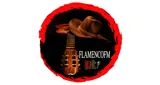 Logo da FLAMENCO FM