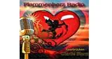Logo da Flammenherz Radio