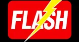 Logo da Flash