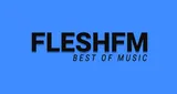 Logo da Flesh-FM